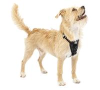 Kurgo Pettorina Cane Tru-Fit - Pettorina Cane Taglia Piccola - Media o Grande - Include Clip Anteriore Antitiraggio per Addestramento e Guinzaglio Cani per Cintura Auto (XS, Nera)