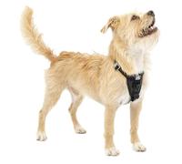 Kurgo Pettorina Cane Tru-Fit - Pettorina Cane Taglia Piccola - Media o Grande - Include Clip Anteriore Antitiraggio per Addestramento e Guinzaglio Cani per Cintura Auto (S, Nera)