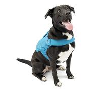 Kurgo RSG Townie - Pettorina per Cani Traspirante Compatibile MOLLE per Accessori, Facile da Mettere e Togliere per Uso Quotidiano con Maniglia Superiore - Blu Costiero - L