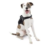 Kurgo RSG Townie - Pettorina per Cani Traspirante Compatibile MOLLE per Accessori, Facile da Mettere e Togliere per Uso Quotidiano con Maniglia Superiore - Nero - M