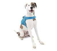 Kurgo RSG Townie - Pettorina per Cani Traspirante Compatibile MOLLE per Accessori, Facile da Mettere e Togliere per Uso Quotidiano con Maniglia Superiore - Blu Costiero - M