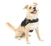 Kurgo RSG Townie - Pettorina per Cani Traspirante Compatibile MOLLE per Accessori, Facile da Mettere e Togliere per Uso Quotidiano con Maniglia Superiore - Nero - S
