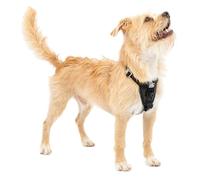 Kurgo Tru-Fit - Pettorina Cane, Include Clip Anteriore Antitiraggio per Addestramento e Guinzaglio Cani per Cintura Auto - Nera, S