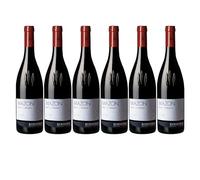 Kurtatsch Pinot Nero Riserva Mazon 2021 | Vino Rosso Riserva Vigneti delle Dolomiti IGT | Confezione da 6 Bottiglie da 750ml