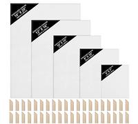 Kurtzy Set di 10 telai intrecciati, tela da pittura bianca per artisti, tele tese vergini per pittura acrilica, pannelli di tela per pittura ad acqua