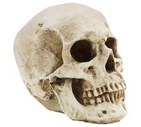 Kurtzy Teschio Umano - L12 x L17 x A14,5 cm - Teschio Decorativo Scheletro Umano Realistico in Resina a Grandezza Naturale - Teschio Soprammobile per Insegnamento Anatomico e Halloween Decorazioni