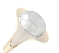 Kustimantu Trombone dritto muto, Tromba muto, lega di alluminio leggero muto tranquillo trombone, strumento di pratica professionale, silenziatore pratica per l'apprendimento a casa, tono basso