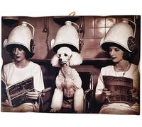KUSTOM ART Quadro Serie Animali Aristocratici Cane Barboncino dalla Parrucchiera Stampa su Legno 25x18cm