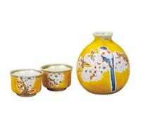 Kutani Yaki Oggetto Giapponese Sake Coppa Pot Set Guinomi Tokkuri Yoshidaya