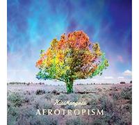 Kutimangoes The - Afrotropism