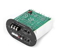 Kuuleyn Scheda Amplificatore Audio per Auto 120W 12V Pure Full Tone Bass Subwoofer Core Stereo Speaker Amp 2 Canali 400W