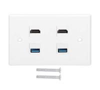 Kuuleyn USB Wall Outlet, USB Receptacle Outletm, 2 HDMI Female to Female Buckle + 2USB Buckle Wall Plate Panel for Home Hotel