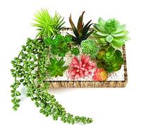 Kuuqa 10 piante grasse artificiali con fiori da appendere per la decorazione della casa, del giardino, senza vaso, accessori fai da te