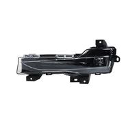 KUVIEZ Paraurti Fendinebbia Paraurti Anteriore Auto Fendinebbia DRL Luce Diurna Faro 107739100E107 Per Tesla Per Modello 3/Y 2017 2018 2019 2020 2021 2022 2023(Only Left Side)