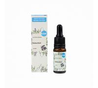 Kvitok Siero per il viso - Bakuchiol (30 ml) - riduce le linee sottili