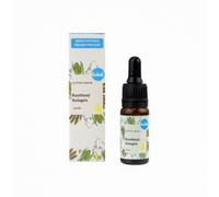 Kvitok Skin Serum - Plant Collagen (10 ml) - leviga e migliora l'elasticità