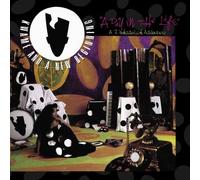 Kwame & A New Beginning - Day In The Life-A Pokadelick A