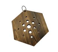 kwoifioy Espositore verticale per piante per interni in legno esagonale con felce Staghorn, facile installazione, decorazione per la casa, supporto per piante in legno