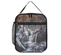 KWQDOZF Borsa porta pranzo portatile con motivo a cascata, inverno, boschi e montagne, riutilizzabile, a prova di perdite, isolata, per lavoro, spiaggia, picnic