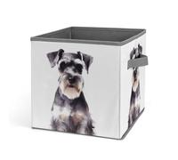 KWQDOZF Cesto portaoggetti durevole pieghevole con stampa Schnauzer ben educato, organizer in tessuto con cubo e maniglia per ripostiglio