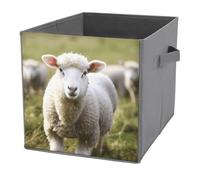 KWQDOZF Cubi portaoggetti pieghevoli con manici, simpatici contenitori a forma di pecora e agnello per organizzare vestiti e libri - Cestini portaoggetti per scaffali e armadi