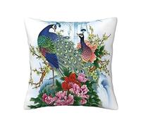 KWQDOZF Pavone astratto pietra di marmo divano fodere per cuscini morbido cuscino quadrato per divano divano letto camera da letto soggiorno 18x18 pollici