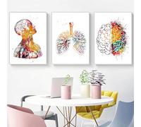 KXHHYB Set di 3 poster anatomici da parete con cuore, cervello, anatomia umana, ospedale, clinica, arte da parete, medica, senza cornice (C, 30x40cm*3)