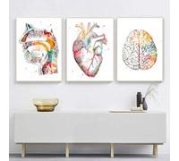 KXHHYB Set di 3 poster anatomici da parete con cuore, cervello, anatomia umana, ospedale, clinica, arte da parete, medica, senza cornice (D, 30x40cm*3)