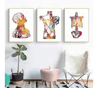 KXHHYB Set di 3 poster anatomici da parete con cuore, cervello, anatomia umana, ospedale, clinica, arte da parete, medica, senza cornice (B, 20x30cm*3)