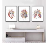 KXHHYB Set di 3 poster anatomici da parete con cuore, cervello, anatomia umana, ospedale, clinica, arte da parete, medica, senza cornice (A, 30x40cm*3)