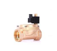 KXIWLUFV Elettrovalvola in Ottone ad Alta Pressione normalmente Aperta filettata NPT da 2" 0955 110 V 24 V 12 V 24 V(NPT-24VDC-NBR-SEAL)