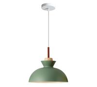 KXKLGWHN Lampadario a Testa Singola a Vite E27, Lampada a Sospensione a soffitto con Montaggio a Incasso, Paralume a Sospensione in Metalli Stile Nordico Moderno, Camera da Letto, Isola Cucina, Bar