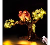 Kyglaring Compatibile con i mattoncini Lego Love Birds 21365, accessori di illuminazione per il set di modelli Lego 21365, versione Touch (modello non incluso)