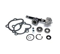 Sgr Kymco B&w 125 Water Pump Rebuild Kit Argento