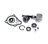 Sgr Kymco B&w 250 Water Pump Rebuild Kit Verde