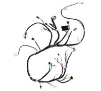 Kymco Cablaggio completo per Kymco K-XCT 125 I 2012 2013 2014 2015