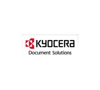 Kyocera Unità sviluppatore magenta DV-5230M