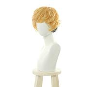 Kyou Kara Ore Wa !! Parrucca Cosplay Hayakawa Kyoko Akasaka Riko Ito Shinji Hair + Free Wig Cap 2