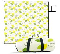 Kyzuzia 200 x 200 cm, coperta da picnic, pieghevole, ideale per parchi in spiaggia, questo colore è popolare tra i ragazzi ed è la scelta migliore per lei, grande, pieghevole, portatile