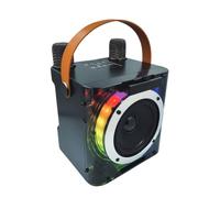 Kznifmk Altoparlante Karaoke Bluetooth ad alta potenza, Stereo Surround con Subwoofer, Luci di Ritmo Musicale e Doppio Microfono B