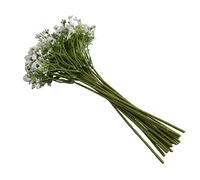 Kznifmk Bianca Plastica Dipinta A Mano Notte Stellata Fiore di Primula Fiore Artificiale Decorazione per La Casa Fotografia Puntelli Manuale DIY