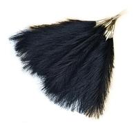 Kznifmk Bouquet di canne artificiali di pampa, erba di pampa artificiale da 16,9 pollici, fiore di decorazione boho, nero, facile da installare, facile da usare