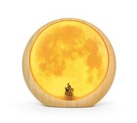 Kznifmk Lampada Lunare per la Decorazione del Soggiorno, Luce Notturna, Regali di Anniversario per Lui, Cartelli Mr & Mrs per Decorazioni per la Tavola di Nozze, Installazione Facile, Facile da Usare.