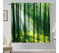 Kzzfqxb 107x215cm Tende 2 pannelli, paesaggio di campagna foresta verde sole che splende attraverso gli alberi fino all'erba per finestre, decor naturale fresca per soggiorno camera da letto