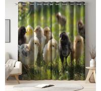 L 140 x A 225 cm tende oscuranti termiche Multicolore per soggiorno e camera da letto, Animale con Pulcino Prato Sole, 2 pannelli con occhielli, contro il sole, privacy e riduzione della luce