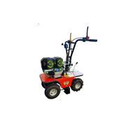 L 300 Levazolle Benassi 4 tempi HONDA GX 160 kW 3,6 - 163 cc 8826911