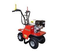 L 3904R Levazolle Benassi 4 tempi HONDA GX 200 kW 4,1 - 196 cc (4 ruote motrici) 8826209