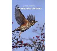 L' albero del ginepro