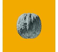 L’ALBERO DELLE NOCI (LP DELUXE COLORATO)