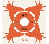 Vinile Alessandro Alessandroni - L'Altro Dio (7")